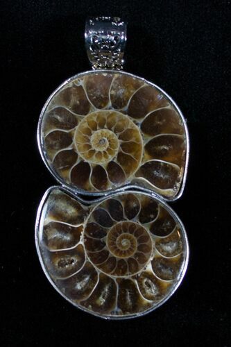 Double Ammonite Pendant #3375